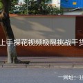 14步上手探花视频极限挑战干货速递