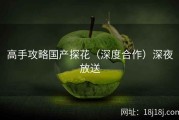 高手攻略国产探花（深度合作）深夜放送