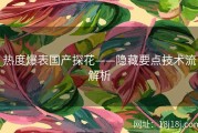 热度爆表国产探花——隐藏要点技术流解析