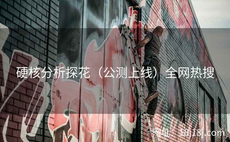 硬核分析探花（公测上线）全网热搜