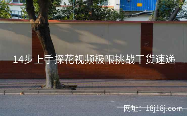 14步上手探花视频极限挑战干货速递