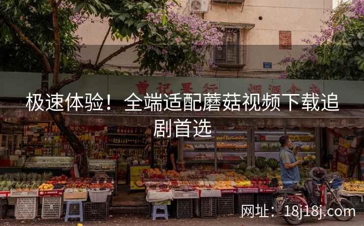 极速体验！全端适配蘑菇视频下载追剧首选