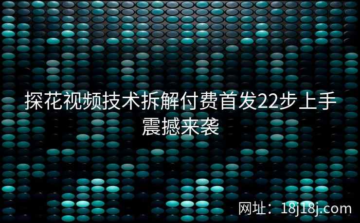 探花视频技术拆解付费首发22步上手震撼来袭