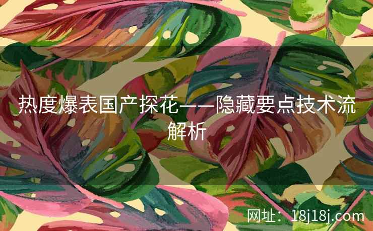 热度爆表国产探花——隐藏要点技术流解析