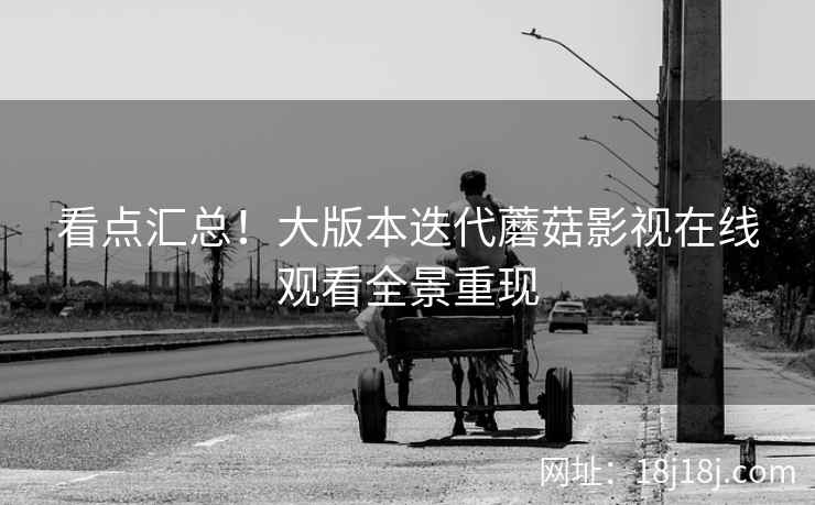 看点汇总！大版本迭代蘑菇影视在线观看全景重现