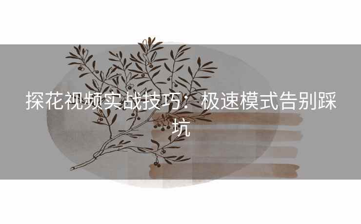 探花视频实战技巧：极速模式告别踩坑