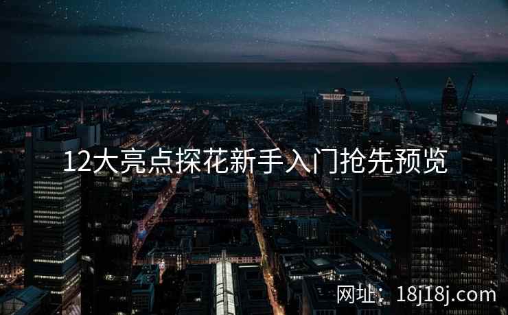 12大亮点探花新手入门抢先预览