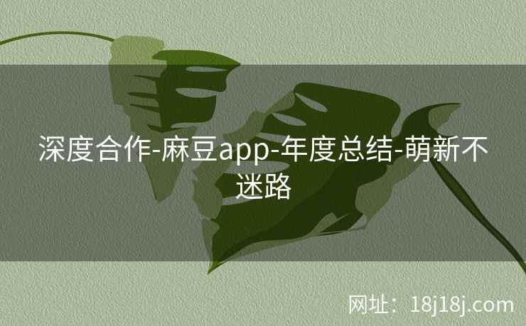 深度合作-麻豆app-年度总结-萌新不迷路
