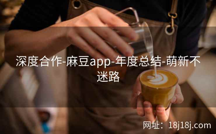 深度合作-麻豆app-年度总结-萌新不迷路