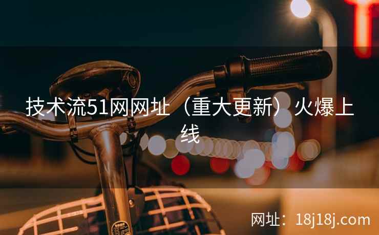 技术流51网网址（重大更新）火爆上线