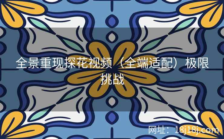 全景重现探花视频（全端适配）极限挑战