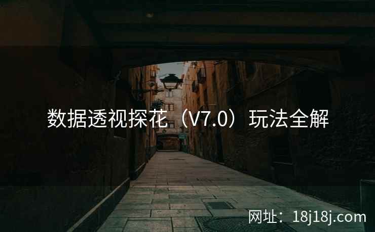 数据透视探花（V7.0）玩法全解
