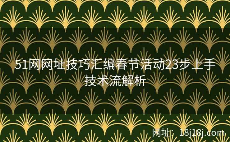 51网网址技巧汇编春节活动23步上手技术流解析