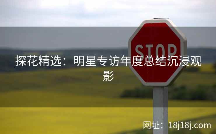 探花精选：明星专访年度总结沉浸观影